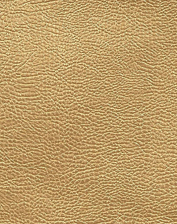 Ткань Designers Guild Kalahari FDG2168/03