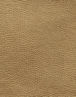 Ткань Designers Guild Kalahari FDG2168/04