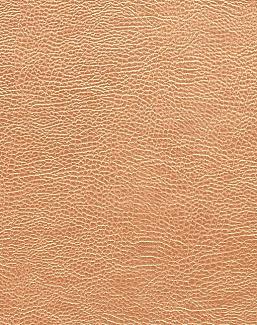 Ткань Designers Guild Kalahari FDG2168/05