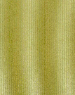 Ткань Designers Guild Tammaro FDG2748/22