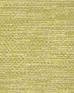 Ткань Designers Guild Cosia FDG2267/08
