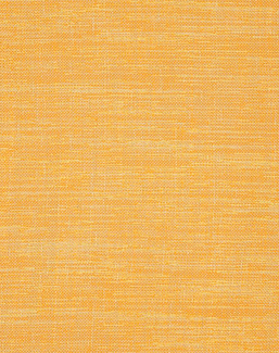 Ткань Designers Guild Cosia FDG2267/13