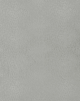 Ткань Designers Guild Ciottoli FDG2348/04