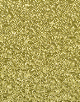 Ткань Designers Guild Sesia FDG2747/11