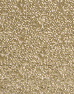 Ткань Designers Guild Sesia FDG2747/13