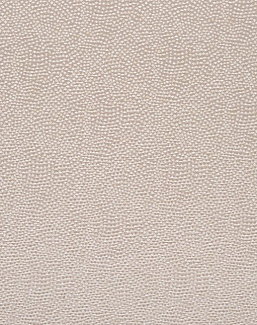 Ткань Designers Guild Sesia FDG2747/25