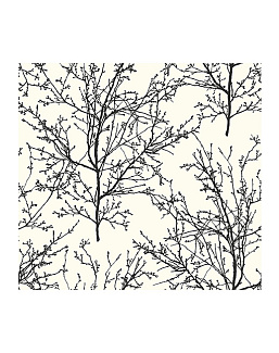 Обои Paper & Ink Black And White BW22400