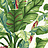 Обои York Ashford House - Ashford Tropics AT7068