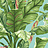 Обои York Ashford House - Ashford Tropics AT7070
