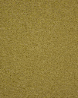 Ткань Filippo Uecher Canova 1304/70
