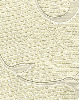 Обои Schumacher Atelier 5003391