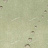 Обои Schumacher Atelier 5003423