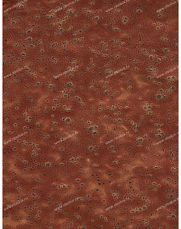 Обои Schumacher Atelier 5003471
