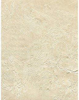 Обои Schumacher Atelier 5003500