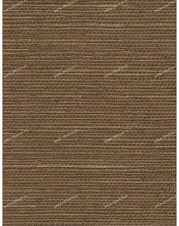 Обои Schumacher Atelier 5003594
