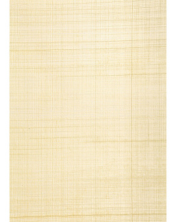 Обои Schumacher Modern Glamour 5005780
