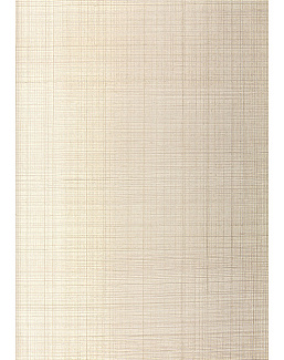 Обои Schumacher Modern Glamour 5005782