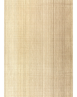 Обои Schumacher Modern Glamour 5005783