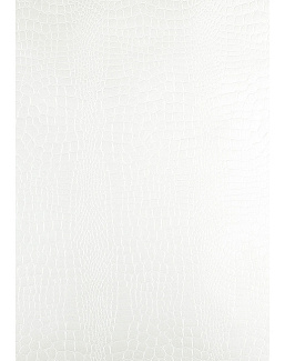Обои Schumacher Modern Glamour 5005830