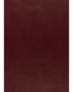 Обои Schumacher Luxe Lodge 5006212