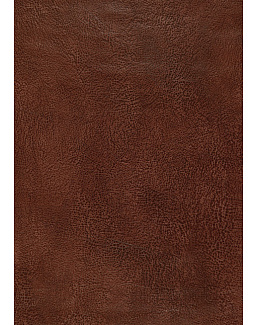 Обои Schumacher Luxe Lodge 5006260