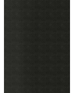 Обои Schumacher Luxe Lodge 5006301