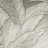 Обои Arte Monsoon 75000