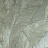 Обои Arte Monsoon 75003