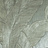 Обои Arte Monsoon 75003