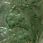 Панно и фотообои BN International Grand Safari BN300411