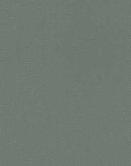 Обои Rasch Salisbury 552751