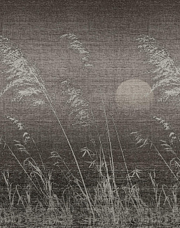 Обои Wall & Deco Contemporary Wallpaper Collection WDIS2102