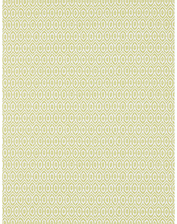 Обои Pierre Frey Veranda FP765003