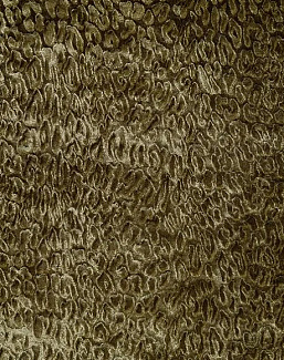 Обои Dutch Walltextile Company Textile wallcovering Box 2 Bobcat/43