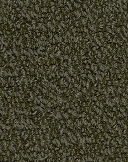 Ткань Bute Tiree CF650/9667-Seaweed