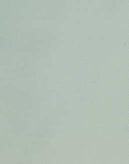 Ткань Дом Caro Polywool Polywool/10