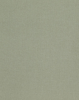 Ткань Дом Caro Polywool Polywool/13