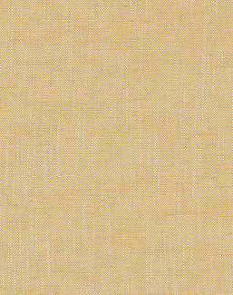 Ткань GP & J Baker House Plain & Stripe BF11006/814