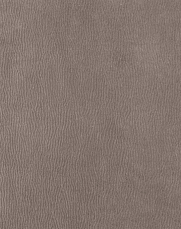 Ткань Houles Ginkgo 72793-9810