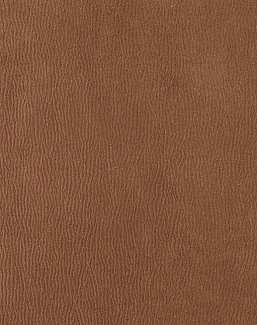 Ткань Houles Ginkgo 72793-9860