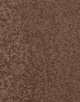 Ткань Houles Ginkgo 72793-9870