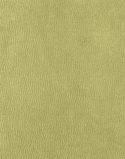 Ткань Houles Ginkgo 72793-9720