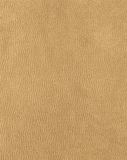 Ткань Houles Ginkgo 72793-9120