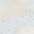 Обои Mayflower Transition FJ30807