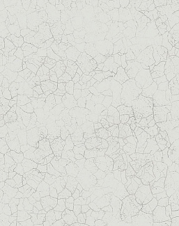 Обои Mayflower Transition FJ31208