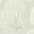 Обои York Aviva Stanoff Signature VA1208