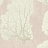 Обои York Aviva Stanoff Signature VA1210
