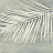 Обои York Aviva Stanoff Signature VA1269