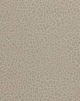 Обои Zoffany Oblique 312835