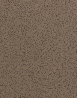 Обои Zoffany Oblique 312836